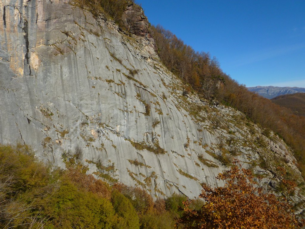 Photo of Presario