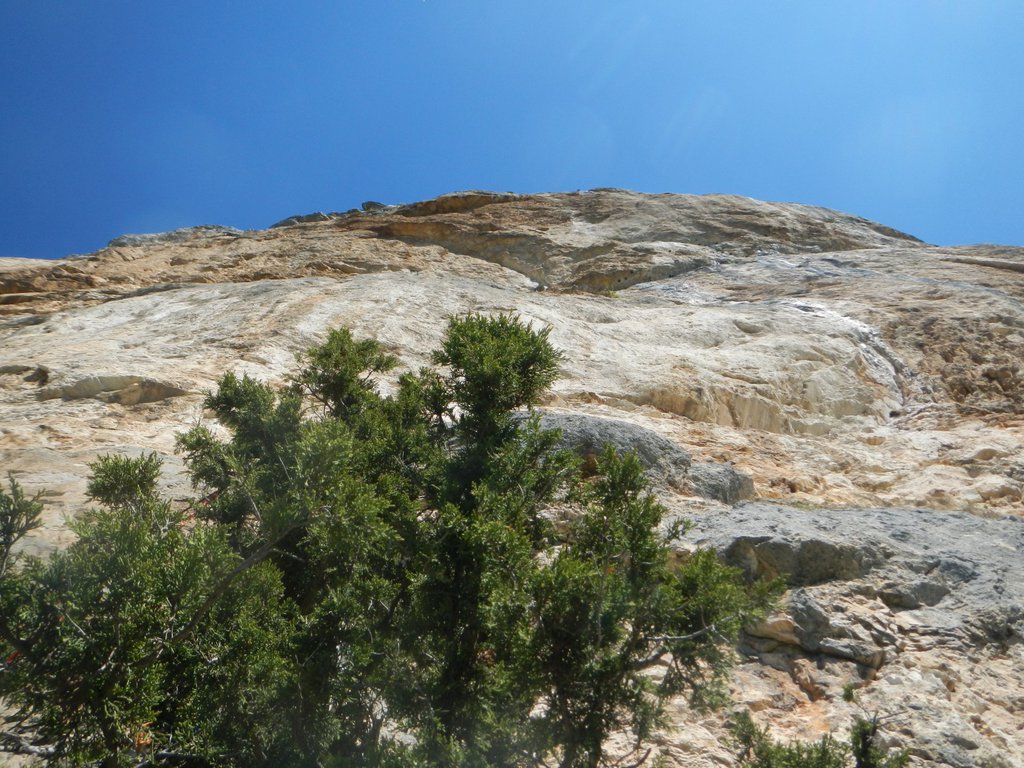 Photo of Devil’s Hooks