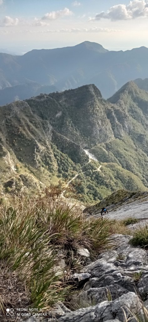 Photo of Un Asfodelo per Paolo