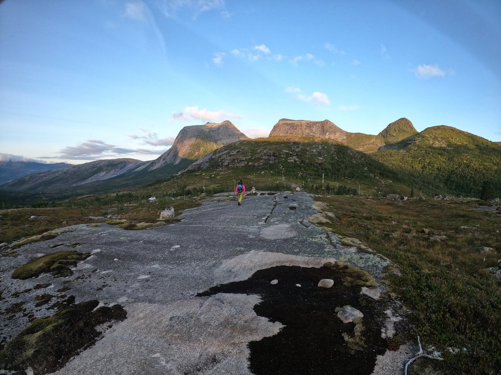 Photo of Klubbruta