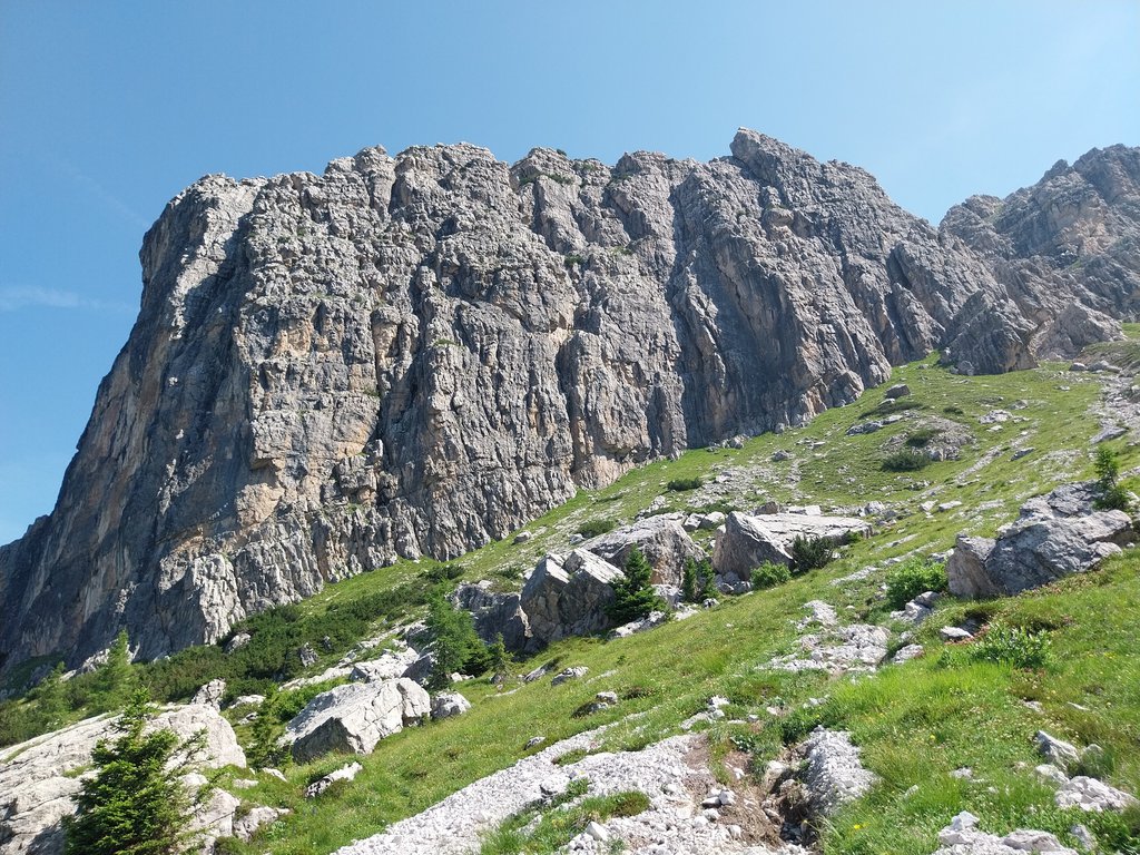 Photo of Per Lory