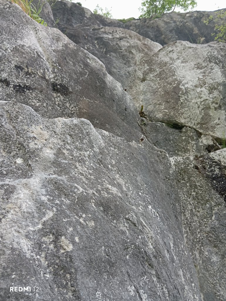 Photo of Ferro da Stiro