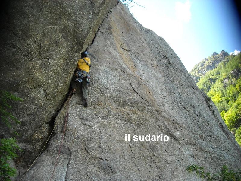Photo of Il Nuovo Pomeriggio