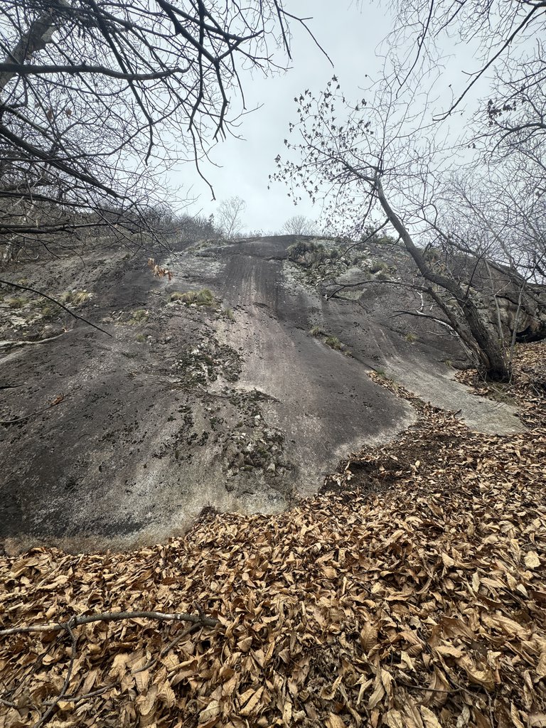 Photo of Sulle Spalle dei Giganti