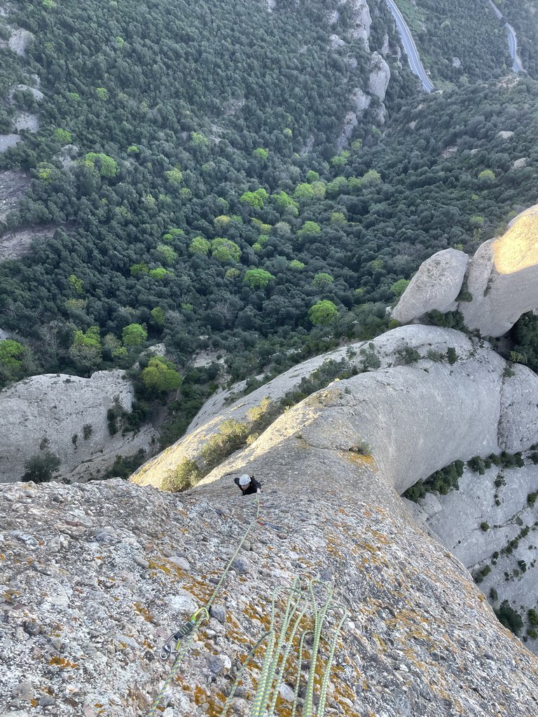 Photo of Punsola Reniu