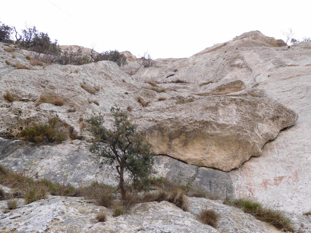 Photo of Via Vaccari