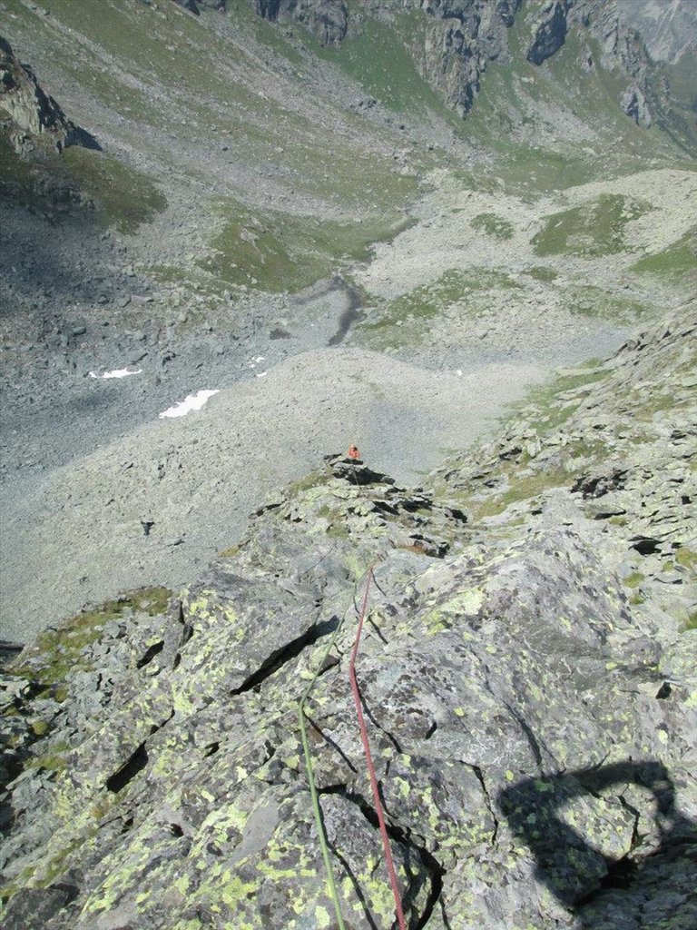 Photo of Stella Senza Tempo