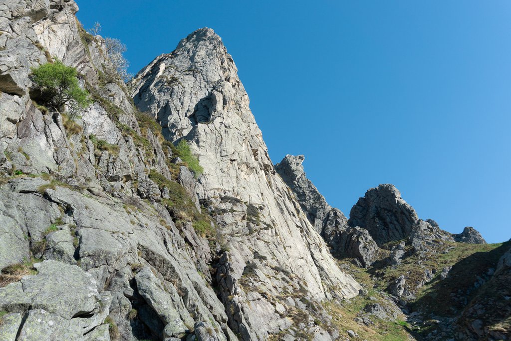 Photo of Spigolo Bignami