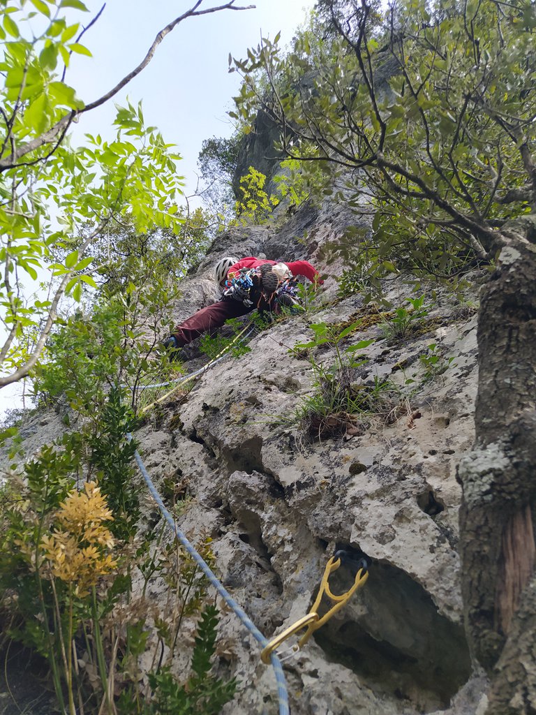 Photo of Via dei Netturbini