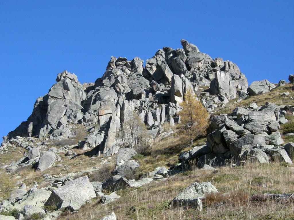 Photo of Zucchero e Mirtilli