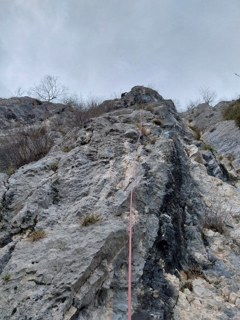 Photo of Ventennale OSA