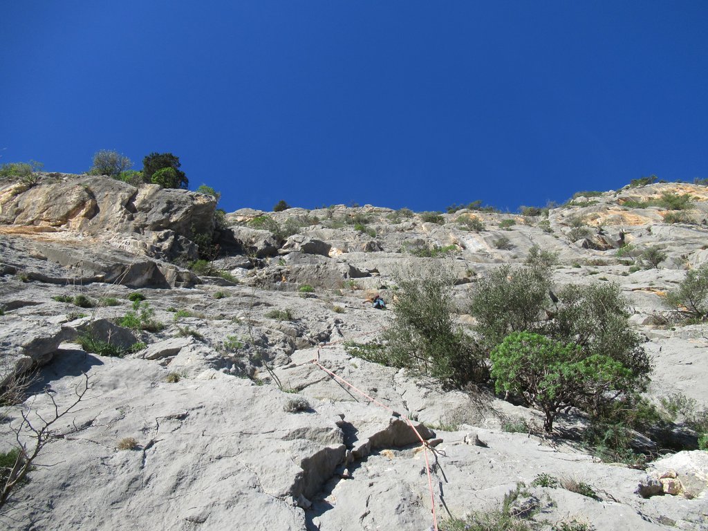 Photo of Tre Tazze di Tè