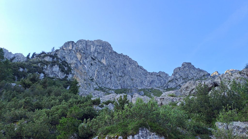 Photo of G.M.