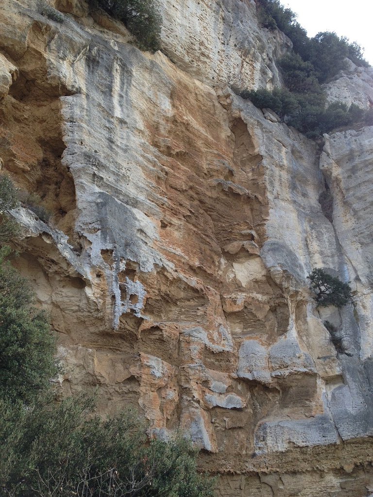Photo of Via Oliva