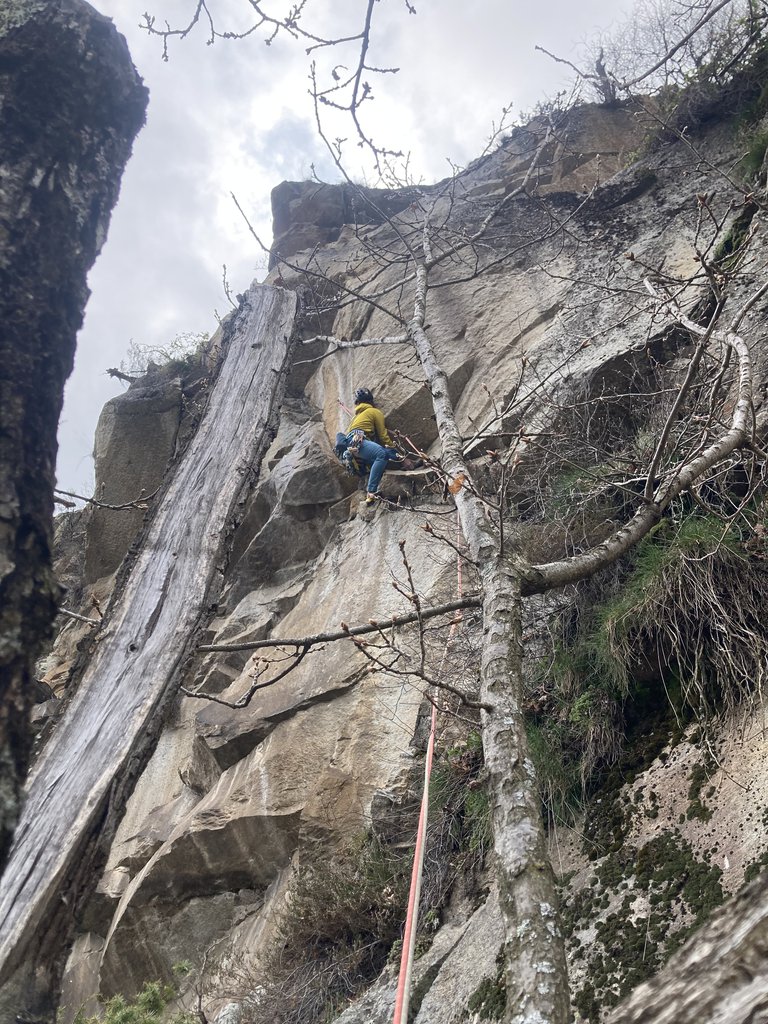 Photo of Mai Facil