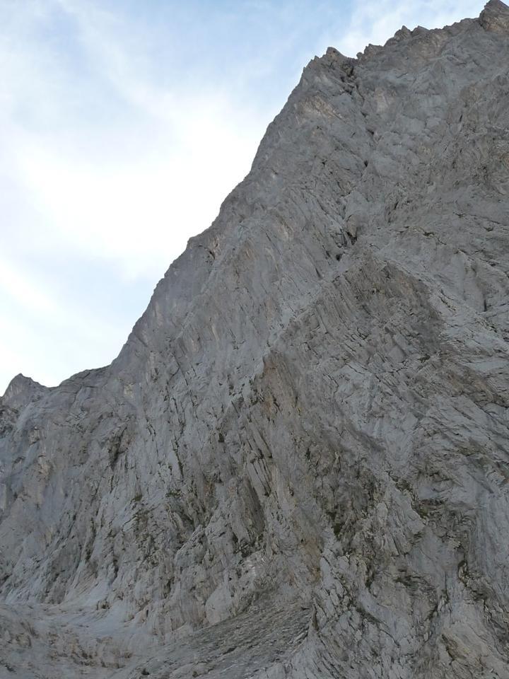 Photo of Klein Wellhorn Adlerauge