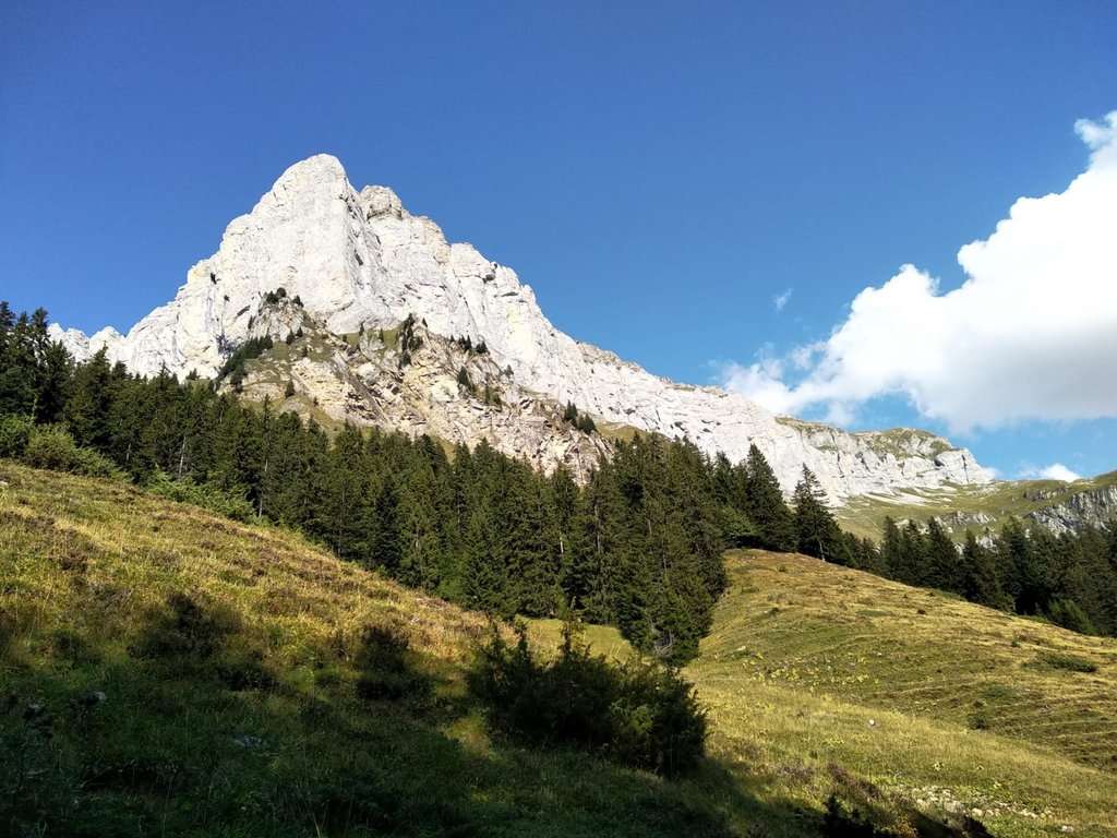 Photo of Luxis