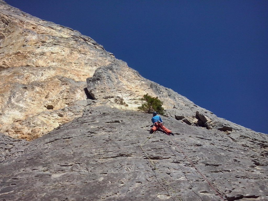 Photo of Carlos King