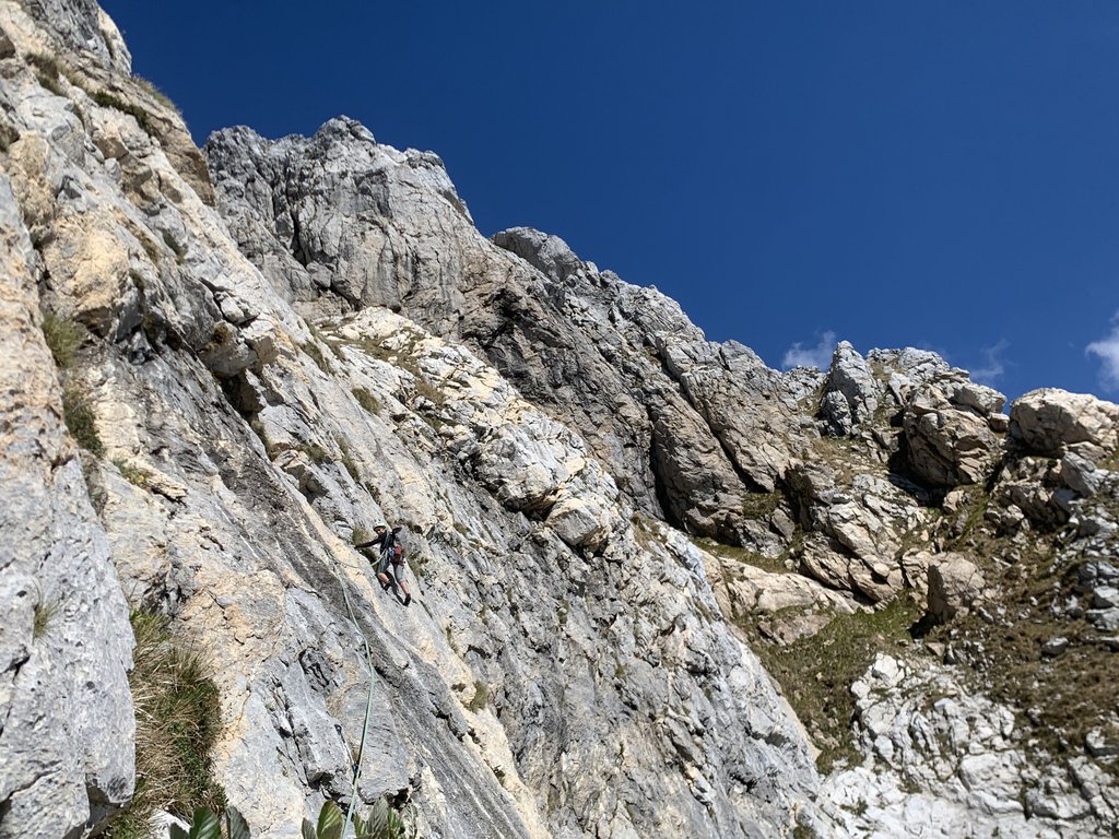 Photo of Dinko