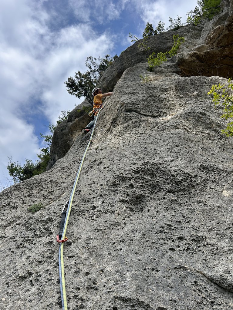 Photo of Line