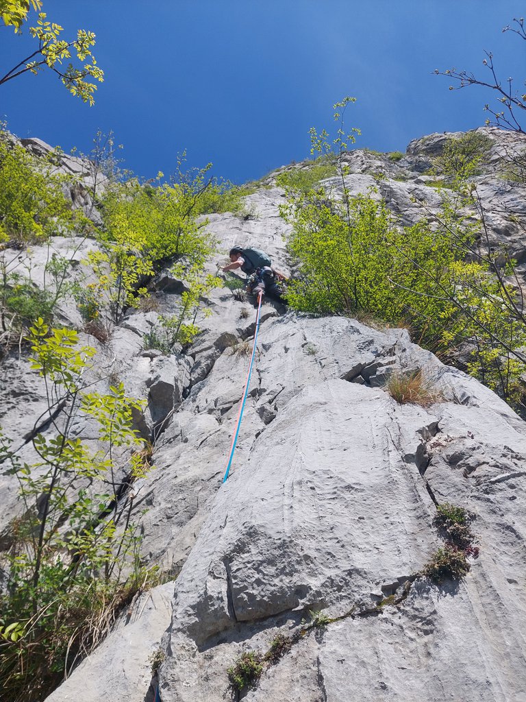 Photo of Insonne d’Attesa