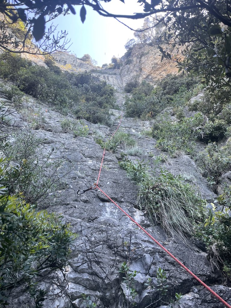 Photo of Prenotazione Obbligatoria