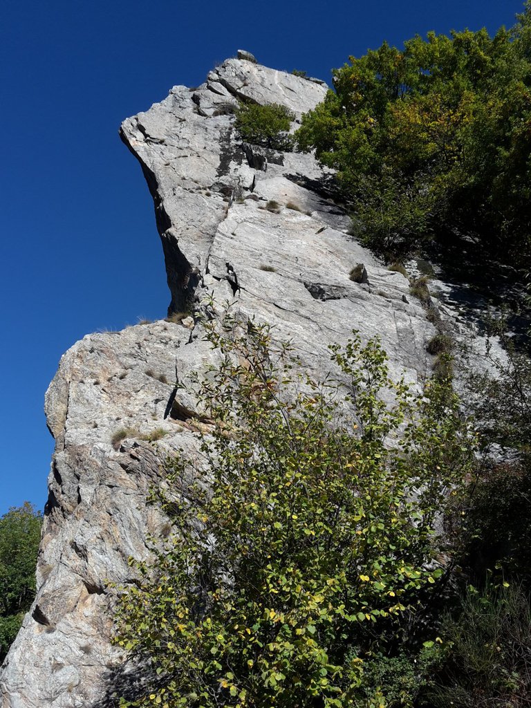 Photo of Brutto Anatroccolo