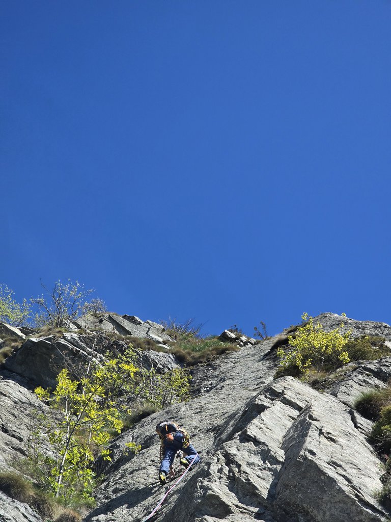 Photo of Overfive + Variante Fontanelli