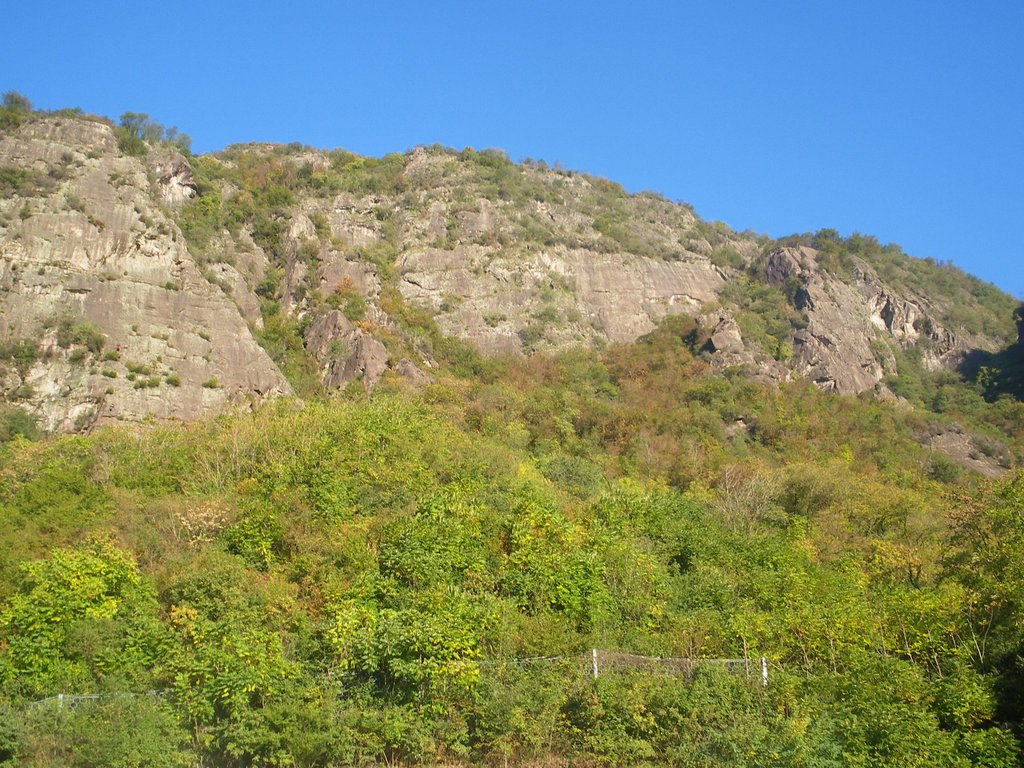 Photo of Pastasciutta e Scaloppine