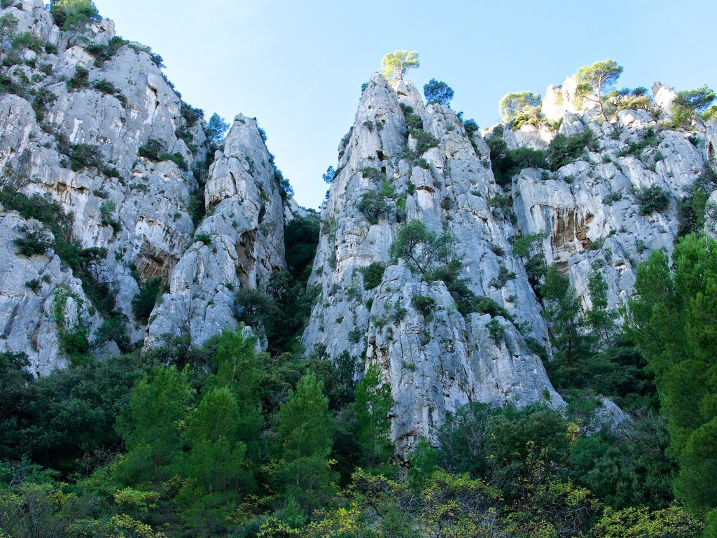 Photo of Les Sans Soucis Intégral