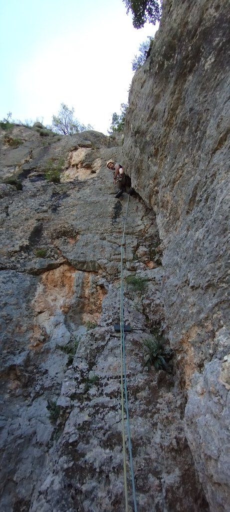 Photo of Macine ai Cocai
