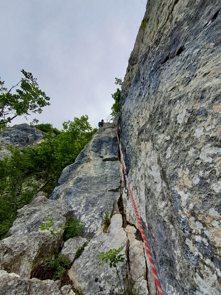 Photo of Partigiani sul Pastello