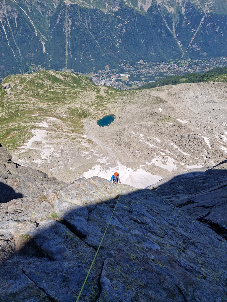 Photo of Les Lépidoptères