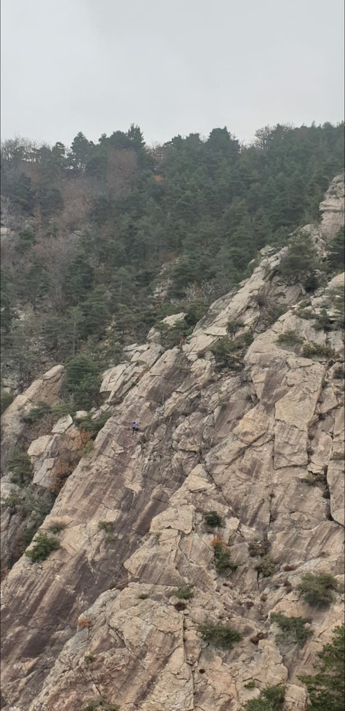 Photo of Placche Rosse