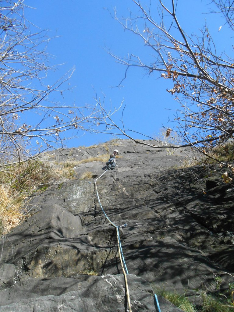 Photo of White Snake