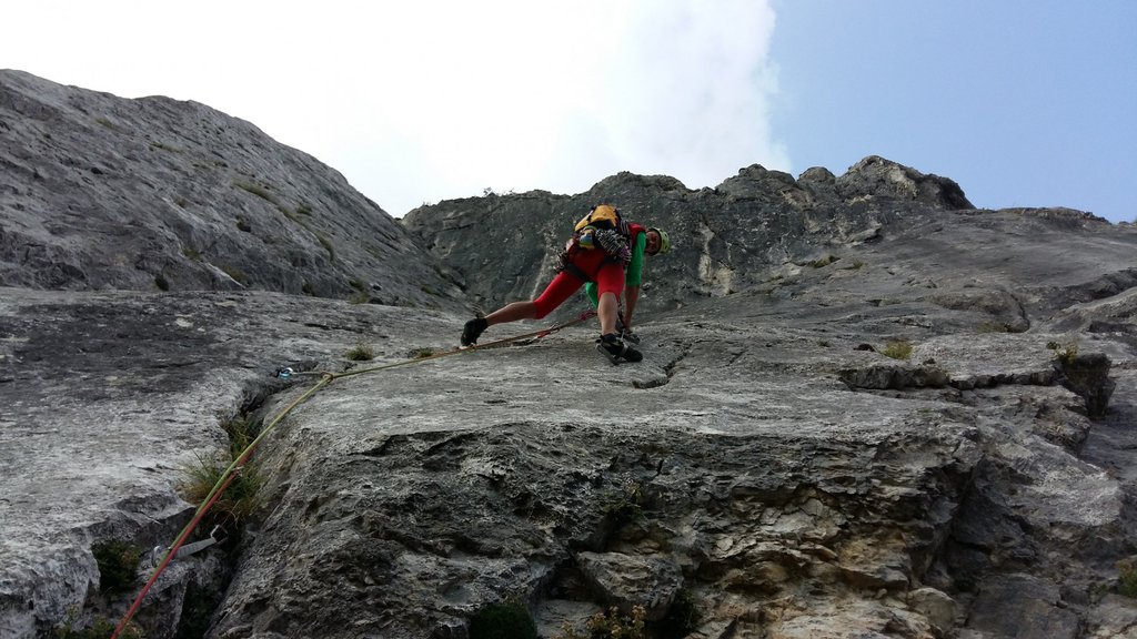 Photo of Stella Alpina