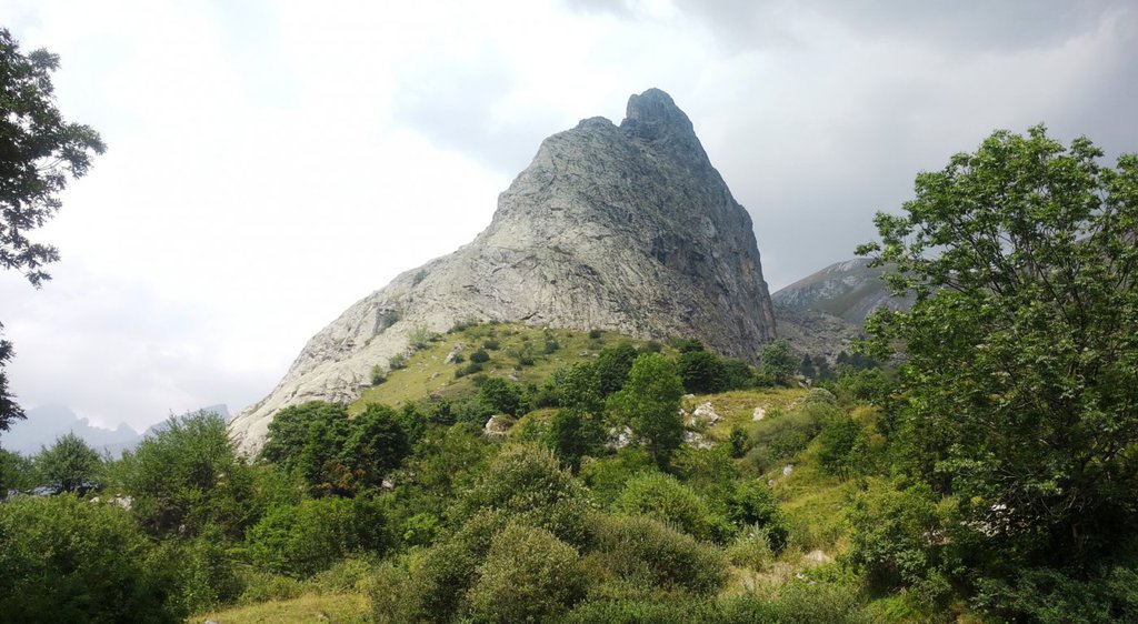 Photo of Buon Mattino