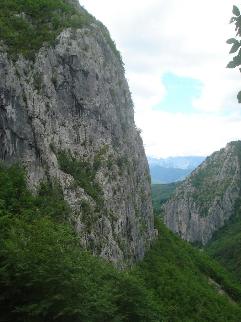 Photo of I Soliti Ignoti
