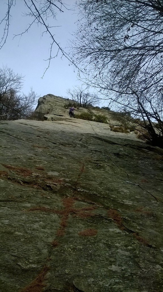 Photo of Bella Gnocca