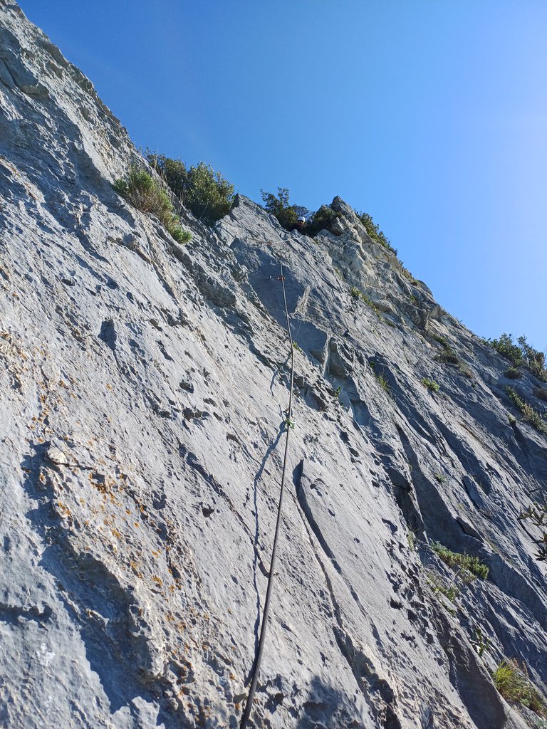 Photo of Pipistrelli