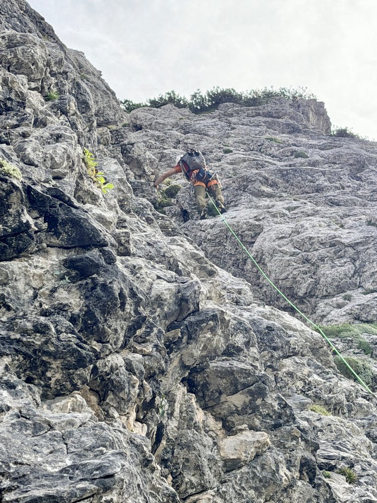 Photo of Sposina Agordina