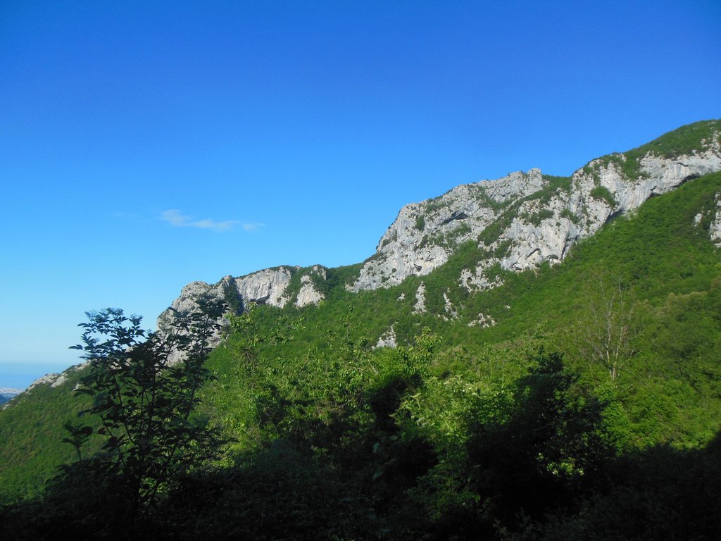 Photo of Vista a Mare