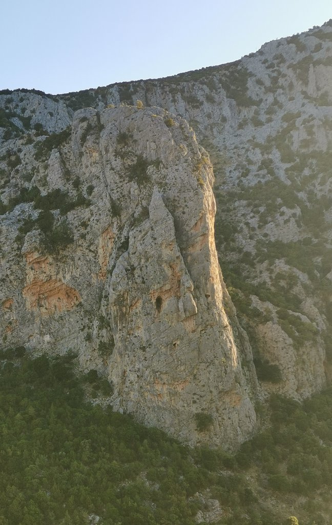 Photo of Mytyk