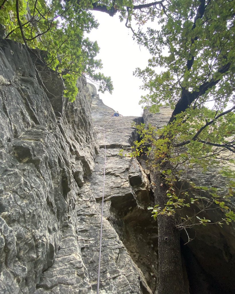 Photo of Elisir d’autunno