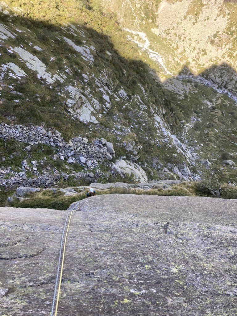 Photo of Parassiti Sociali