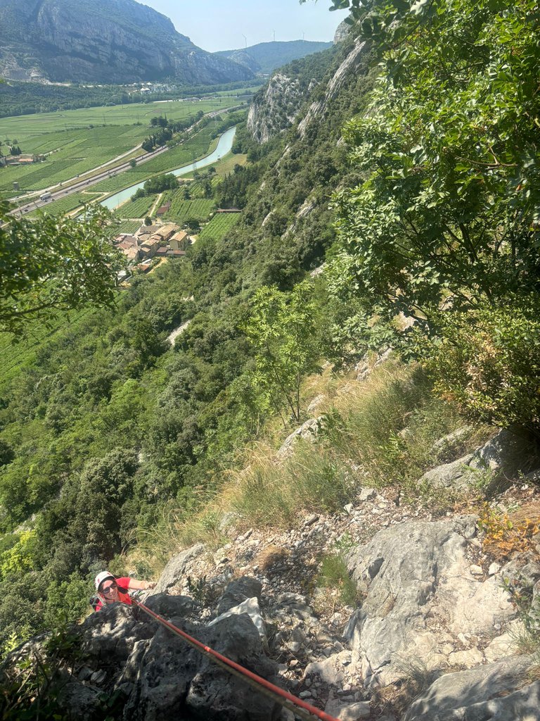 Photo of Ali di Farfalla