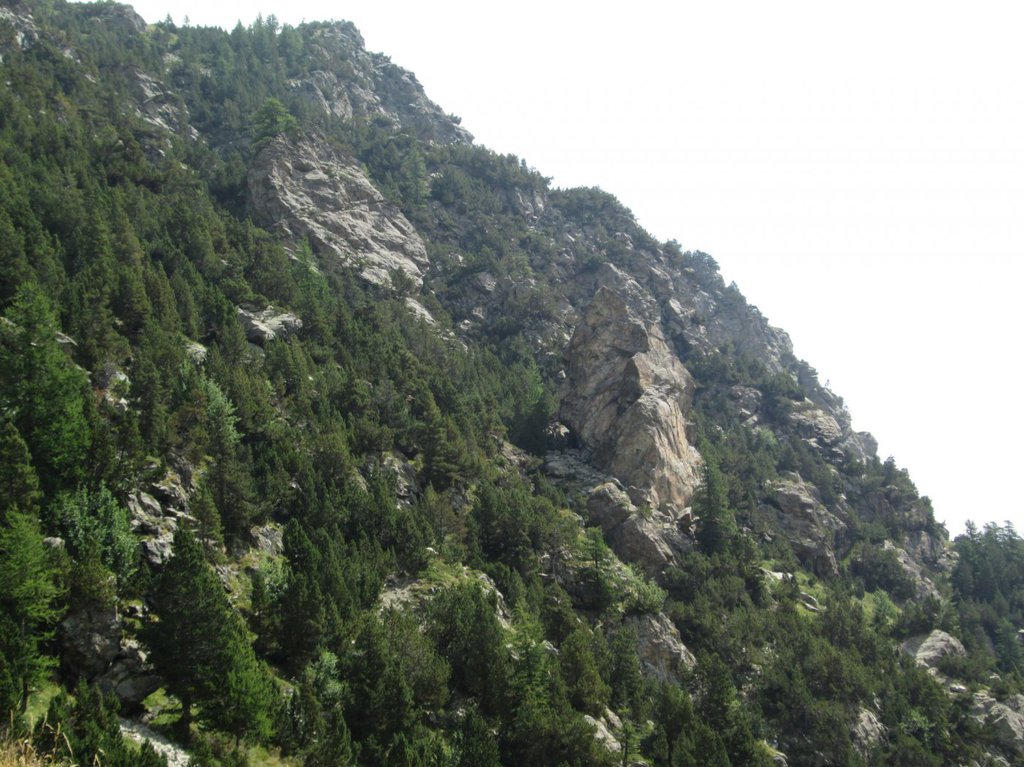 Photo of Via De Petro