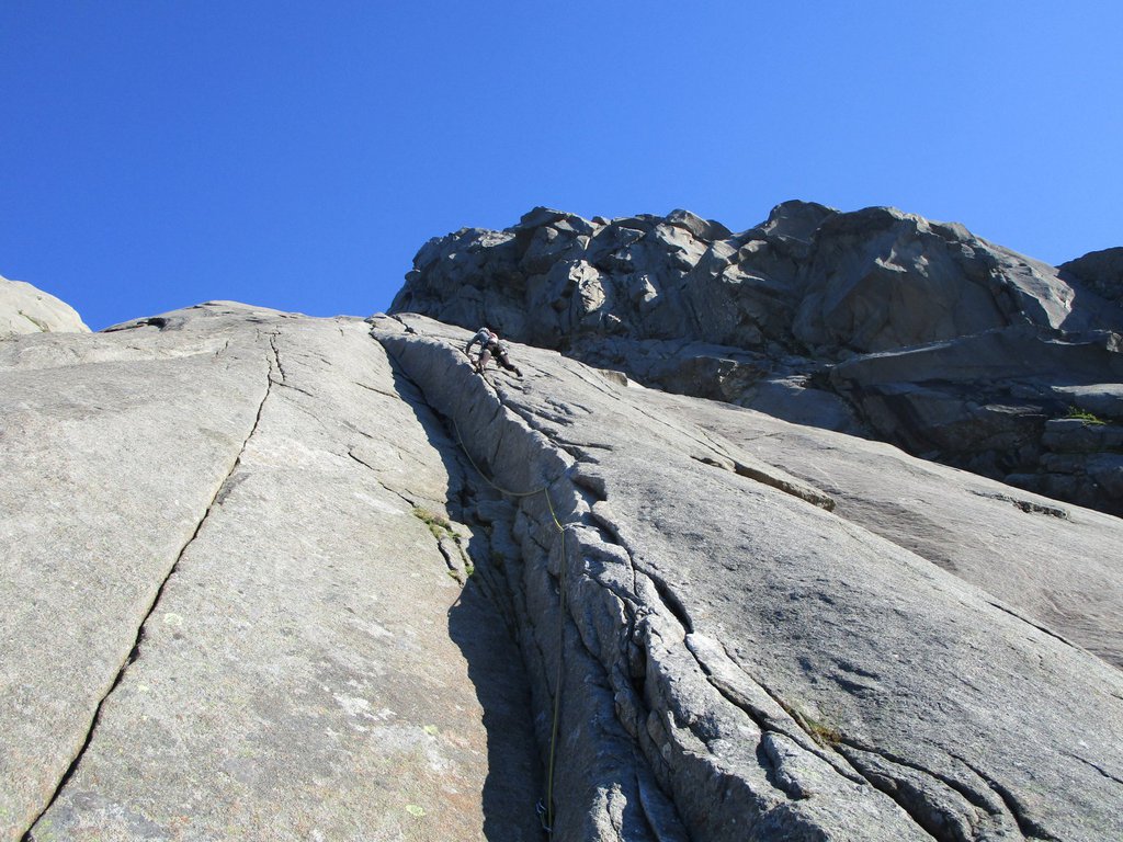 Photo of Djupfjord Bare blåbær