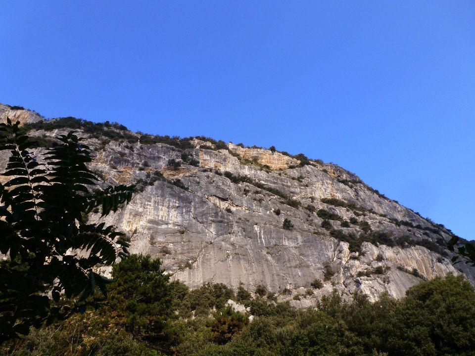 Photo of Ape Maia