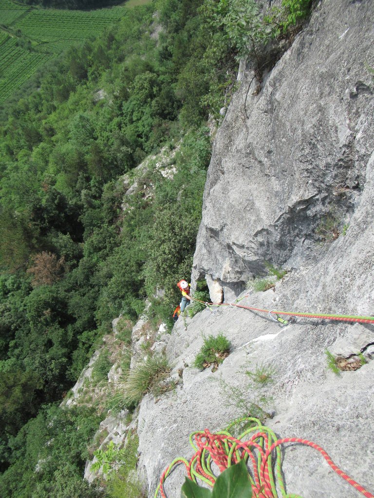 Photo of La Fiaba nel Bosco